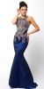 Embellished Bodice Round Neck Fit-n-Flare Long Prom Dress in Navy